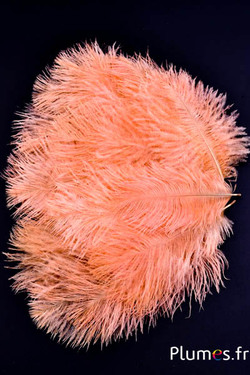 Struzzo barbules - 8-15 cm - rosso